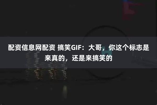 配资信息网配资 搞笑GIF：大哥，你这个标志是来真的，还是来搞笑的